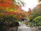 英彦山神社（大権現）の秋