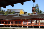厳島神社の社殿と五重塔