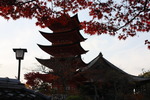 宮島の五重塔と千畳閣と紅葉