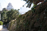 唐津城と「石垣の散歩道」