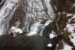 冬木立と冬の湯滝