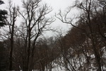 奥日光「湯滝」周辺の冬景色