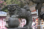 太宰府天満宮の狛犬像