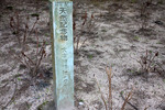 天然記念物「夫婦樟」の標識