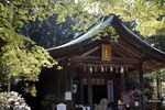 春の竈門神社「拝殿」