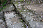 参道の石段に散る桜の花びら