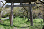 「垂裕神社」の石鳥居と春の野原