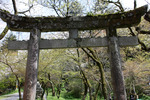 「垂裕神社」の石鳥居