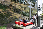 「垂裕神社」の鳥居と花見客