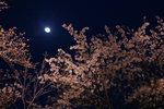 春の夜空