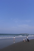 青島海岸
