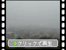 濃霧に包まれた早朝の函館