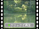 志賀高原・丸池の水面の霧と影