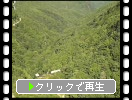 志賀高原ロープウエイから見た山並みと眼下の渓谷