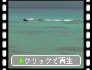 奄美大島の景勝地「土盛海岸」