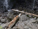 滝壺と流木