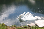 夏の立山・室堂「みくりが池」と氷雪
