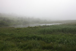 霧が流れる八島ヶ原湿原