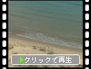福岡「奈多海岸」の砂丘と波