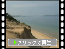 福岡「奈多海岸」の砂丘の黒松と野草