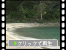 奄美大島の「ヤドリ浜」