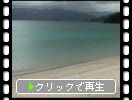 奄美大島「尾鈍海岸」の浜辺とエメラルドグリーンの海