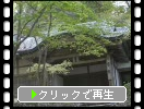 太宰府「竃門神社」の新緑