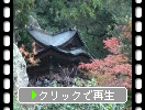越前・那谷寺「本堂」の秋景色