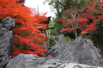 石山寺の紅葉と奇岩