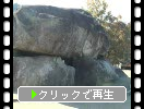 奈良・明日香村の「石舞台古墳」