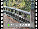 山中温泉の「こおろぎ橋」と鶴仙渓の秋模様