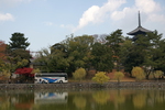 猿沢池と観光バス