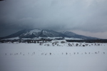 雪原と冬の山並み