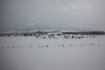積雪と雪煙の「蒜山高原」