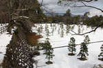 松江城の「二の丸下の段・中曲輪址」雪景色
