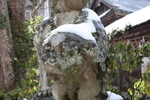 雪を被った「松江神社」の狛犬