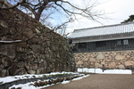 冬の松江城「南多聞櫓」