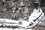 積雪の松江城「本丸一ノ門」石垣
