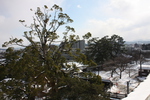 松江城から見た積雪の松江市街地