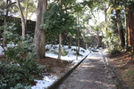 雪の森と松江城の石垣