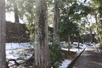 積雪の城門跡と木々