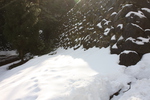 積雪の「松江城」石垣と陽に光る雪面