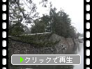 冬の松江城「堀と石垣と舟」