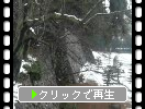 積雪の松江城「二の丸下ノ段と中曲輪跡」