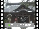松江城内の「松江神社」と積雪