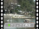 冬の松江「武家屋敷通り」