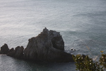 伊良湖岬「岩礁と海鳥の群れ」