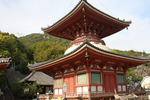 尾道浄土寺の多宝塔