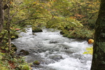秋模様の渓流