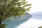 新緑期の樹木と田沢湖